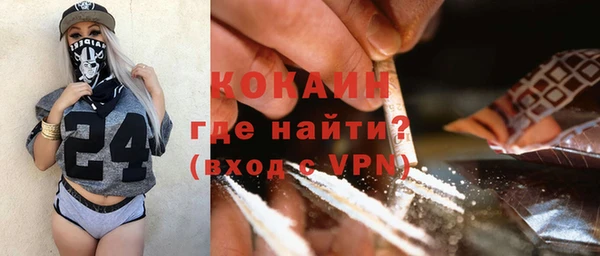 прущие грибы Вяземский