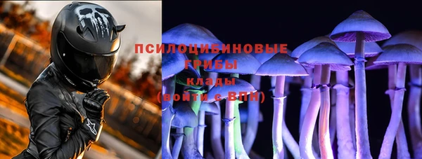 прущие грибы Вяземский