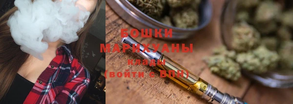 прущие грибы Вяземский