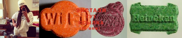 прущие грибы Вяземский