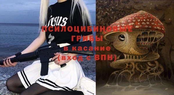прущие грибы Вяземский