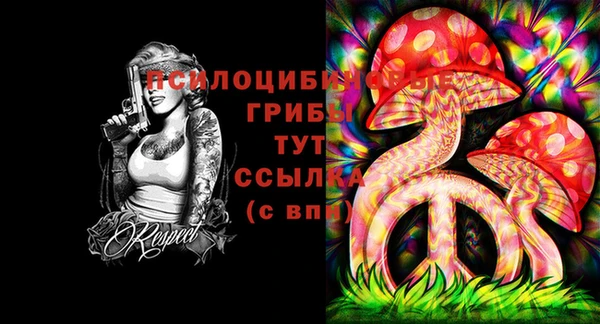 прущие грибы Вяземский