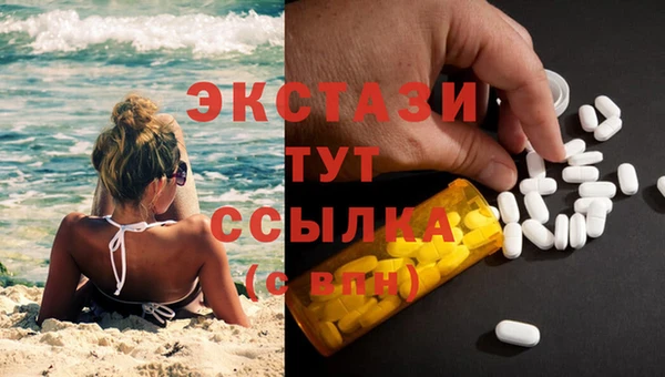 прущие грибы Вяземский
