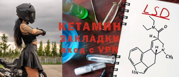 прущие грибы Вяземский