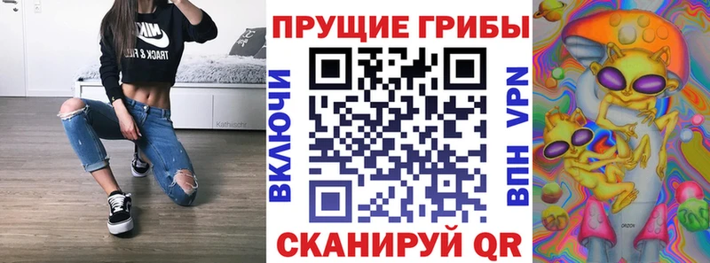 Псилоцибиновые грибы Psilocybine cubensis Собинка